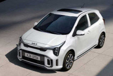 Desain Modern Performa Oke, Kia Picanto Buktikan Ukuran Bukan Segalanya di Jalanan