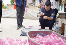 Masih Beredar Pangan Berbahaya di Sumsel, Kandung Zat Pengawet Mayat hingga Pewarna Sintetis