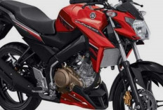 Rekomendasi Motor Bekas Tangguh Harga 5-7 Jutaan, Siap Temani Perjalanan Kerja Tanpa Ribet