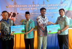 PT Bukit Asam Tbk Kertapati Port Serahkan Bantuan 26 Hewan Kurban Untuk Warga Ring 1