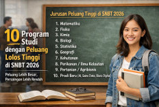 10 Program Studi dengan Peluang Lolos Tinggi di SNBT 2026