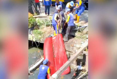 Finalisasi Besaran Denda Buang Sampah Sembarangan, Kabarnya hingga Rp500 Ribu