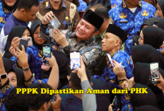 Geger! Hasil Rapat DPR 2026: PPPK Dipastikan Aman dari PHK, Ini Skema Baru & Kesejahteraan ASN