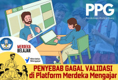 Banyak Jurnal Pembelajaran Gagal Validasi di Tahap 1 dan 2, Peserta Tahap 3 Ayo Cek Penyebabnya