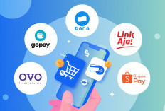 Penyebab Saldo E-Wallet Tidak Bisa Digunakan dan Cara Mengatasinya Juni 2026