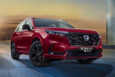 Honda CR-V 2026: SUV Cerdas yang Bikin Aman Berkendara, Bukan Sekadar Gaya