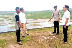 Sepasang Kekasih Dibegal di Tanjung Senai, Nikmati Pemandangan Sore saat Lebaran