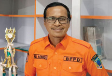 Waspada Pohon Tumbang saat Musim Hujan