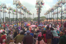 Festival Panjang Pinang 80 Pohon Sumatera Ekspres, Catat Tanggalnya!