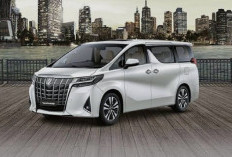 Alphard & Vellfire, Wujud Kemewahan dan Teknologi Masa Kini di Jalanan Indonesia