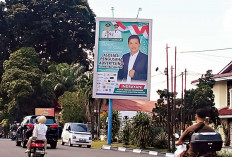  Terus Genjot PAD, Pemkot Palembang Lelang Ratusan Titik Reklame di Kota Palembang, Ini Harapannya 