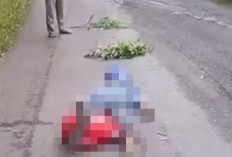  Kabur Usai Tabrak Lari Pengendara Motor, Korban Meregang Nyawa, Sopir Mobil Dicari