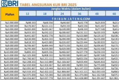 Pencairan Dana KUR 2025: Proses Lebih Cepat, UMKM Makin Bergairah