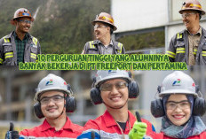 10 Perguruan Tinggi yang Alumninya Banyak Bekerja di PT Freeport dan Pertamina