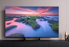 Temukan 3 Smart TV Terlaris 2024, Solusi Cerdas dengan Harga di Bawah 2 Juta Wajib Dimiliki!