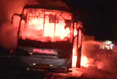 Bikin Trauma, Bus Terbakar lagi di Sumsel, Kali Ini Bus PO Palala di Jalintim Muba, 23 Penumpang Selamat