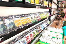 Penyeragaman Kemasan,  Berdampak Keberlangsungan PKL