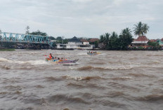 Ramai Tradisi 'Naek Stempel' di Sungai Komering, Keselamatan Penumpang Jadi Sorotan
