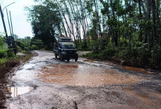 Warga Berharap Pemkab Segera Perbaiki Jalan Lintas Pengumbuk