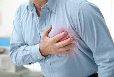 Pahami 10 Jenis Penyakit Jantung yang Sering Terjadi
