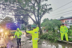 Waspada Lewat Jalinsum Muratara, Jalan Licin dan Jarak Pandang Terbatas, Rawan Kecelakaan