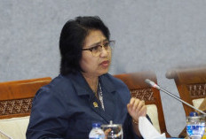 Raih Hampir 180 Ribu Suara, Irma Suryani Sudah Siapkan Program untuk Senayan