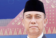 Hampir 70 Persen TKA di Sumsel Asal China, Ini Kata Disnaketrans Sumsel