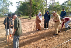 Sulap Lahan Tidur Jadi Kekuatan Pangan