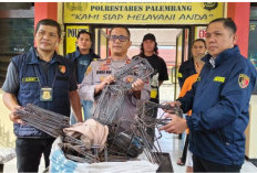 Apes! Niat Jual Besi Behel dan Kabel Curian, Pemuda di Palembang Malah Masuk Sel