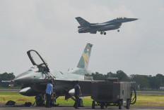 Dua Pesawat F-16 Indonesia, Intercept Pesawat Asing