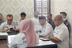 Sulap Pulau Mas Jadi Taman Ikonik Jelang PEDA KTNA 2025