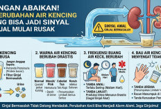Jangan Abaikan! 4 Perubahan Air Kencing yang Bisa Jadi Sinyal Ginjal Mulai Rusak