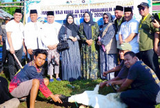 161 Kambing Dam Jemaah Haji Disembelih di Prabumulih