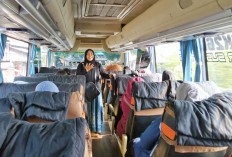 Hanya 17.516 Bus Diizinkan Beroperasi