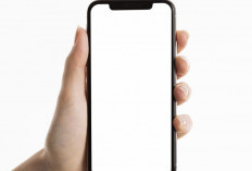 Uji Keandalan Fitur Magic Eraser di HP 5: Benarkah Bisa 