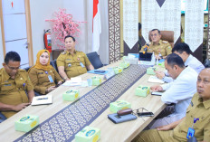 Komitmen Jaga Stabilitas Harga-Keamanan Wisata, Pemprov  Sumsel Siap Gerak Cepat Tindak Lanjuti Hasil Rakor