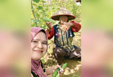 Harga Bagus, Tingkatkan Pendapatan