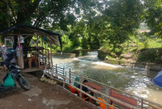 Menikmati Keindahan Wisata Dadakan di Tepi Irigasi Tugumulyo