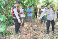 Ribut Batas Tanah, Pria di Musi Rawas Tewas Dibacok Sepupu Istri
