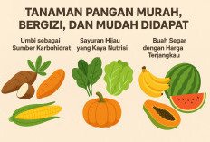 Tanaman Pangan Murah,Bergizi, dan Mudah Didapat