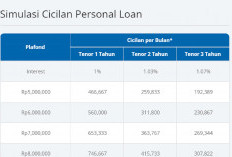 Tanpa Agunan! Dapatkan Dana Cepat dengan BCA Personal Loan, Segini Limit dan Simulasi Kreditnya