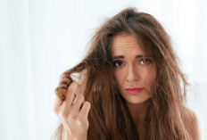Tips Perawatan Rambut Akibat Paparan Polusi Jalanan untuk Perlindungan Optimal