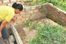 Meski Lahan Sempit, Hasil Bikin Nagih