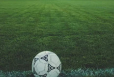 7 Fakta Sepakbola Jadi Olahraga Terpopuler di Dunia, Pengikut Instagram Atlet Ini Menggila!
