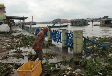 Banjir Akibat Air Pasang Mengintai, BMKG Ingatkan Warga di Bantaran Sungai dan Pesisir Waspada