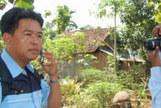 Tantangan Sebulan Lepas dari WhatsApp, Kembali ke Nokia Jadul: Ini yang Terjadi pada Pikiran dan Kehidupanmu