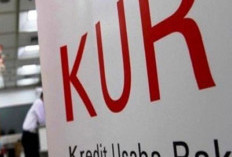 Rahasia Tersembunyi KUR 2026! BRI vs BSI, Mana yang Diam-diam Lebih Untung?