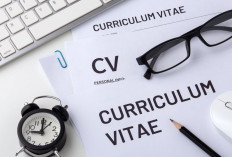 11 Panduan Membuat CV untuk Beasiswa Pendidikan