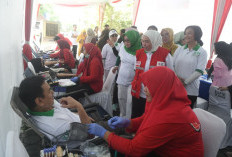 Aksi Sosial IKPI & PMI Palembang: Donor Darah, Pemeriksaan Kesehatan, dan Rekor MURI