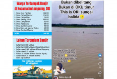 Banjir Meluas ke Kabupaten OKI, Ribuan Hektare Sawah Terendam, Khawatir Gagal Panen, di OKU Timur Belum Surut 